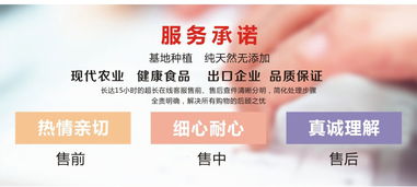 天子貴休閑食品 一站式商貿代理與批發指南